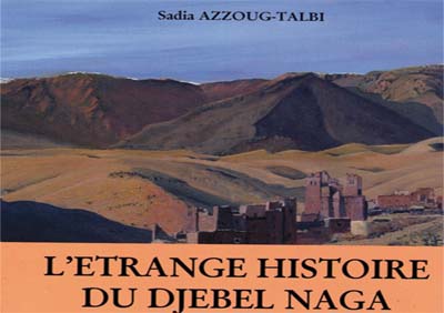 Un roman à intrigues