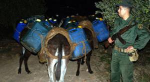 حجز2980 لتر من الوقود المهرب بتمنراست