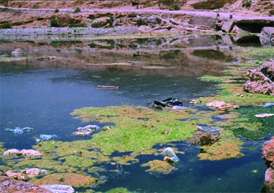 Rumeurs sur une épidémie