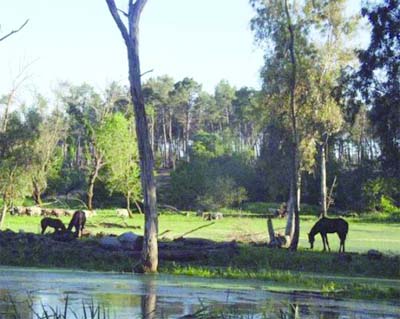 A quoi sert la loi '