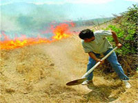 Jijel / Après les feux de forêts                                    Une aide aux sinistrés