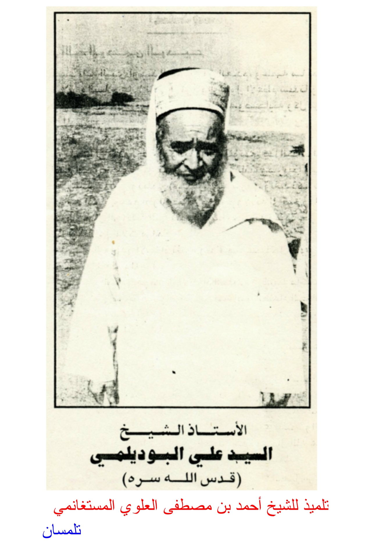 Cheikh Ali al-Boudlimi