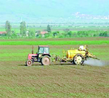 Plus de 80.000 ha réservés aux céréales                                    BOUIRA, Campagne agricole 2011-2012