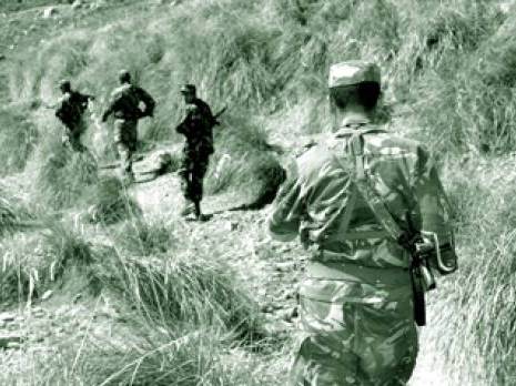 Ratissage à Chouicha (Boumerdès) : 10 terroristes éliminés et 3 autres capturés                                    Actualité : les autres articles