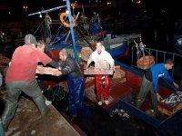 Pêche : encourager la création de projets dans le cadre des dispositifs de soutien à l'emploi