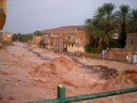 Oueds en crues dans la région de Ghardaïa : une vingtaine de personnes secourues