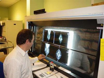 Les associations de malades lancent des campagnes de sensibilisation                                    Octobre rose, une révolution contre le cancer du sein