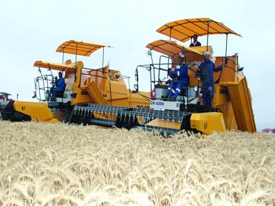 Campagne labours-semailles sur fond de contrat de performance                                    Production céréalière à Annaba