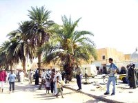 Ouargla : des représentants de la société civile préconisent une prise en charge  réelle et immédiate  des jeunes