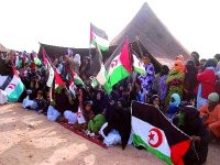 Solidarité avec le peuple sahraoui : le Comité algérien plaide devant l'ONU pour la tenue d'un référendum d'autodétermination