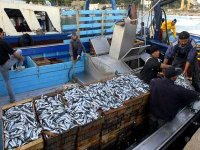 Des perspectives prometteuses pour la pêche à Jijel