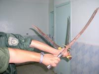 JIJEL                                    La montée de la criminalité inquiète la population