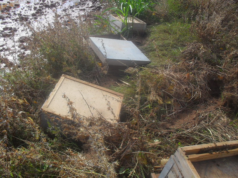 la crue a détruit les ruches