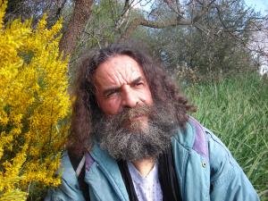 من الأقلام واليوميات الجزائرية ما هو...قــ