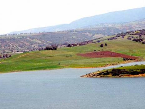 «Ni dogme ni complexe»                                    Partenariat public-privé étranger