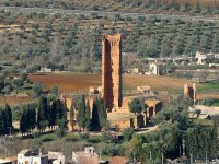 Développement local : le CNES anime trois rencontres de concertation samedi et dimanche à Tlemcen