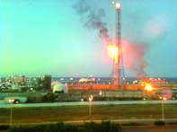 Des emplois pour les jeunes                                    ORAN, Commune de Bethioua