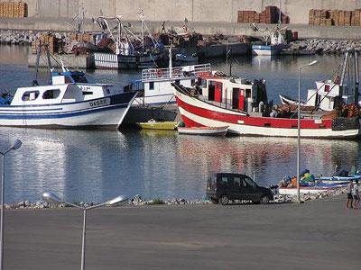 Des perspectives prometteuses pour la pêche à Jijel                                    Des sommes considérables et des moyens importants mis en place