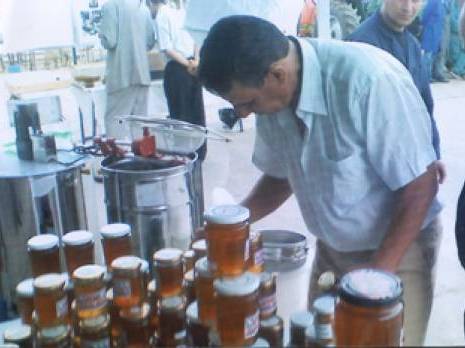 Saïda : De l'or pour l'apiculture algérienne                                    Actu Ouest : les autres articles