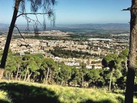 Développement local : Emploi, logement et gestion des collectivités, crédo du mouvement associatif