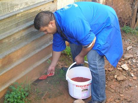 la prolifération des rats inquiète les habitants                                    Nouvelles et vieilles cités