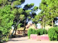 Lancement d'une étude sur les espaces verts                                    TISSEMSILT, Direction de l'Environnement