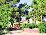 Lancement d'une étude sur les espaces verts                                    TISSEMSILT, Direction de l'Environnement