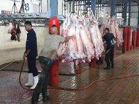 Report de la fermeture de l'abattoir de Ruisseau à Alger (ministre)
