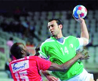 L'Algérie possède les moyens nécessaires pour abriter ce rendez-vous                                    Handball- Championnat d'afrique des nations 2014