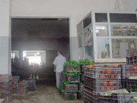 Blida                                    A quand la livraison du marché de gros '