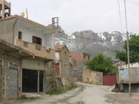 Ouizrane (Aït R'zine) : L'exode pour survivre                                    Bejaia : les autres articles