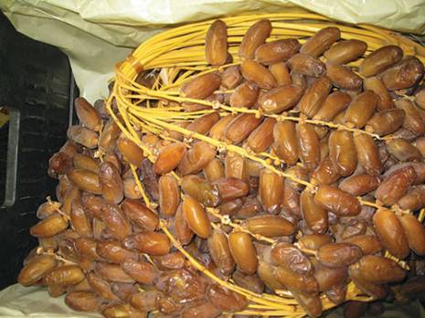 Deglet nour : marché, acteurs et dynamique industrielle                                    Contributions : les autres articles