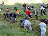 Lancement de la campagne de reboisement 2011-2012