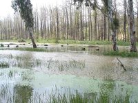 Zones humides : prochaine journée d'étude à Alger sur la gestion de la zone d'El Kala