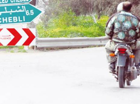 Chebli : La ville aux mille dos d'âne                                    Blida : les autres articles