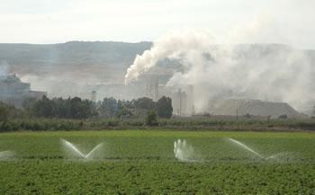 Chérif Rahmani s'attaque au cyanure                                    DEPOLLUTION INDUSTRIELLE