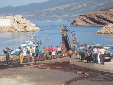 Une opportunité pour les jeunes et les professionnels du secteur                                    Annexe de l'institut de la pêche