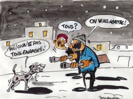 Santé publique : Le danger persistant de la rage                                    Jijel : les autres articles