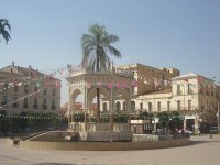 CNES : rencontre mercredi à Blida sur le développement local