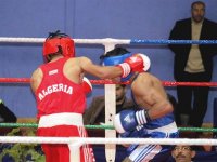 Tournoi international de boxe du 1er novembre à Batna : Egypte-Algérie en ouverture