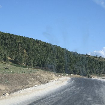 IMPACT DE L’OCCUPATION SPACIO-TEMPORELLE DES ESPACES SUR LA CONSERVATION DE L’ECOSYSTEME FORESTIER. CAS DE LA COMMUNE DE TESSALA
