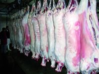 Production record de viandes rouges                                    M'SILA, Direction des services agricoles