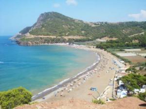 Les derniers ouvrages livrés ce mois                                    Elargissement de la route du littoral