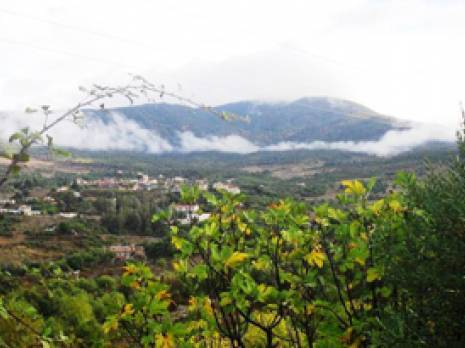 Commune d'Aghribs : Volontariat pour le captage des sources                                    Tiziouzou : les autres articles