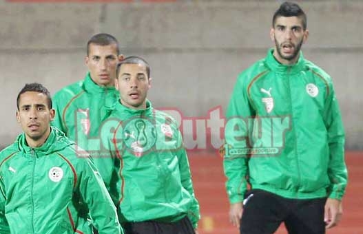 Aoudia, le «novembriste» des Verts