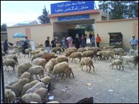 L'université algérienne entre naufrage et survie