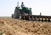 Une surface de près de 8.000 hectares ciblée                                    Boumerdès, Labours-semailles