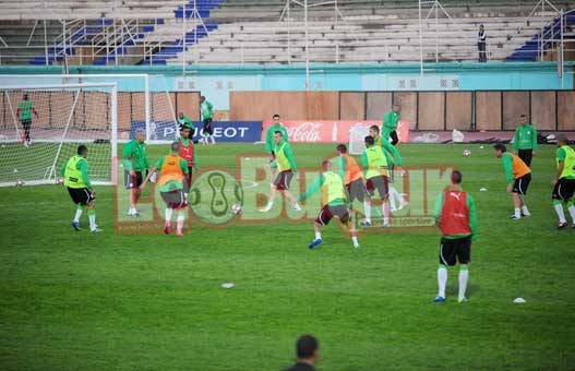 Halilhodzic entame son chantier