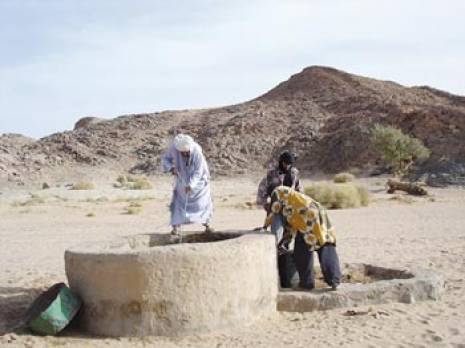 La campagne compromise sur 3000 ha à Adrar                                    Labours-semailles