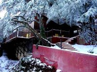 Réhabilitation de la station climatique de Chréa (Blida)